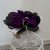 Plantas