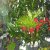 Espaço Odivelflor